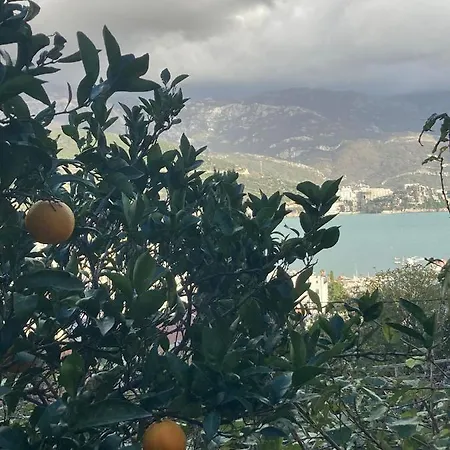 شقة Garden *